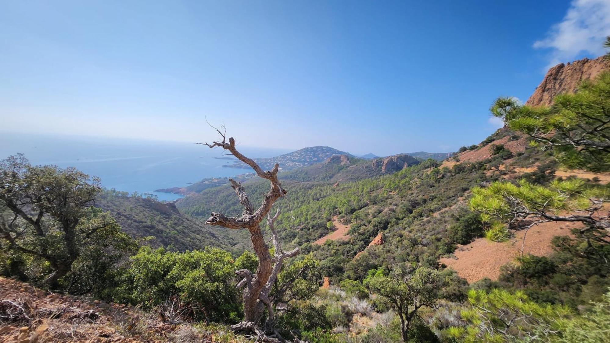 Saint-Raphael- Vue Mer Et Massif De L'Esterel 외부 사진